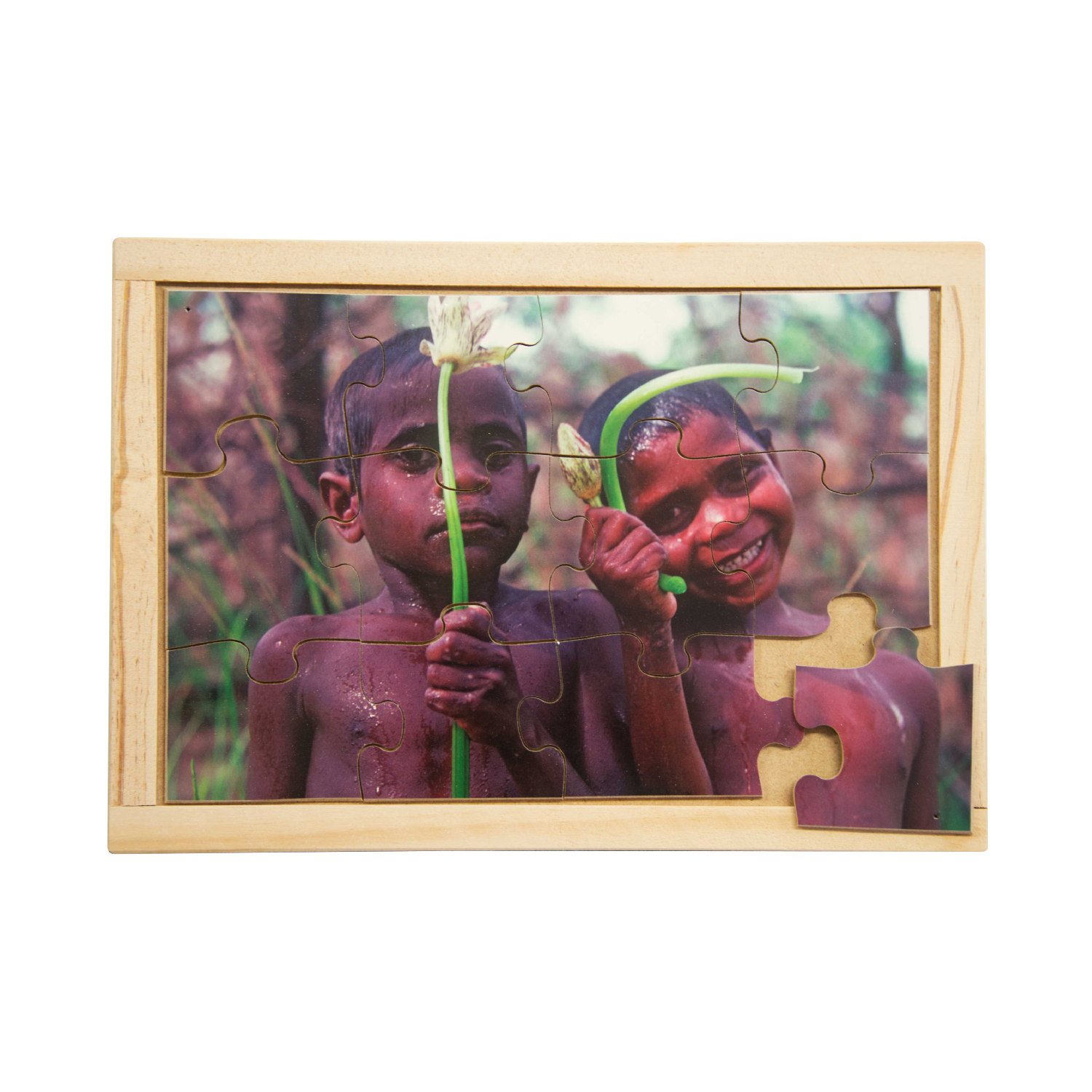 Water Lilies Puzzle Indigenous Resources Online Water Lilies Puzzle Indigenous Resources Online