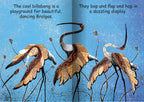 Birds around the Billabong Big Book — view 4
