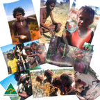 Bush Tucker Poster Pack — authentic Aboriginal & Torres Strait Islander classroom resource