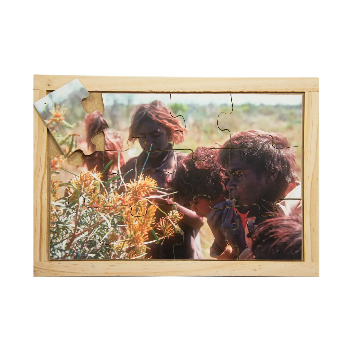 Honey Grevillea Puzzle — hand-painted wooden Indigenous jigsaw puzzle — Australian-made early learning, ages 3+