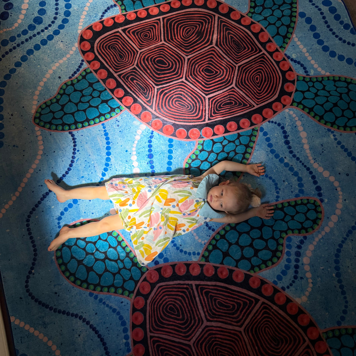 Turtles Dreaming Indigenous Rug — lifestyle photo