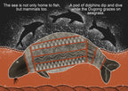 Indigenous Sea Creatures Big Book — additional view