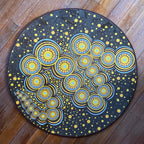 Kambarang Season Rug — authentic Aboriginal & Torres Strait Islander classroom resource