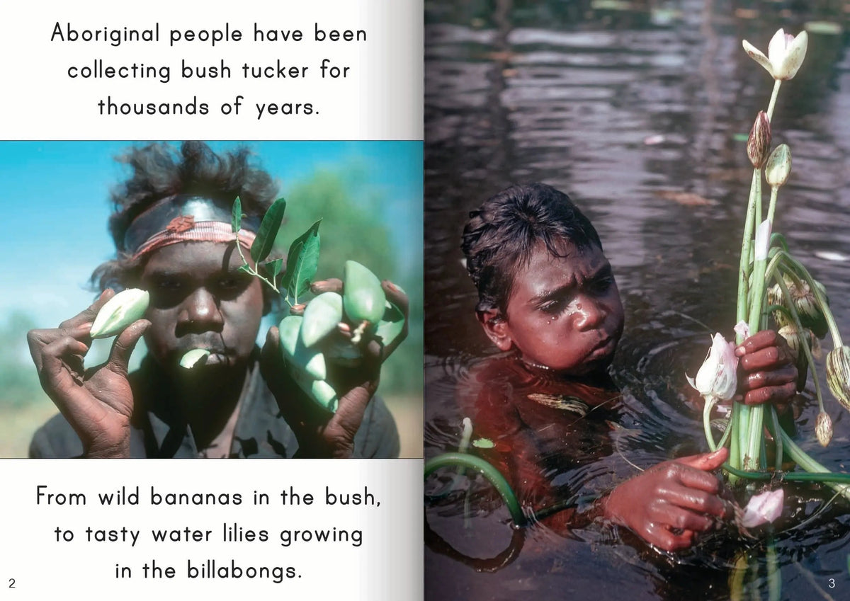 Indigenous Big Book VALUE PACK — Let's Learn about Bush Tucker big book cover