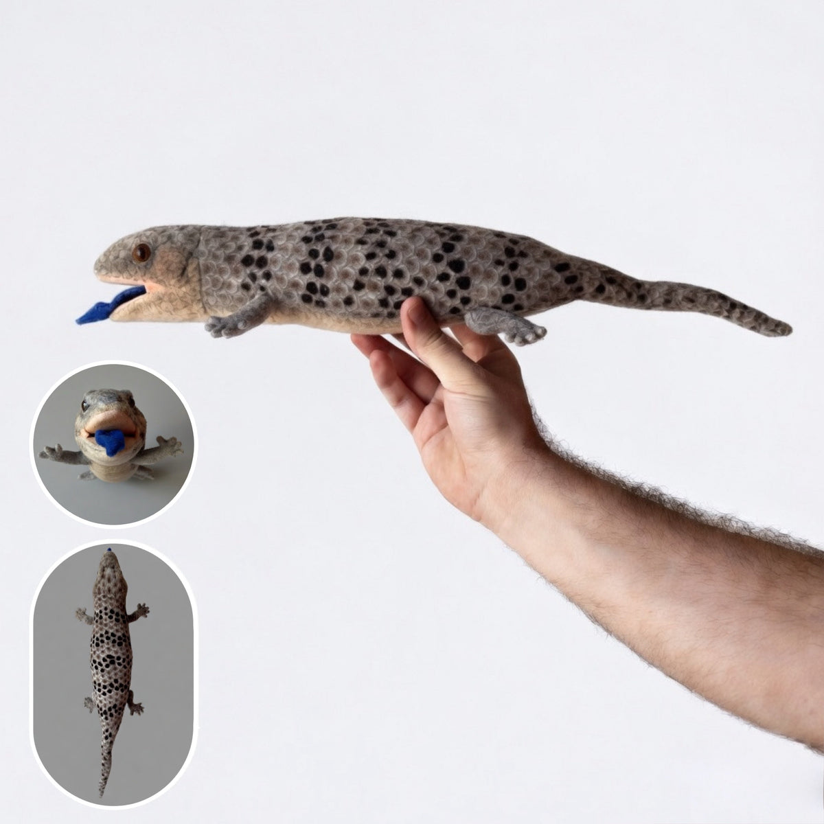 Soft Plushies — in classroom use