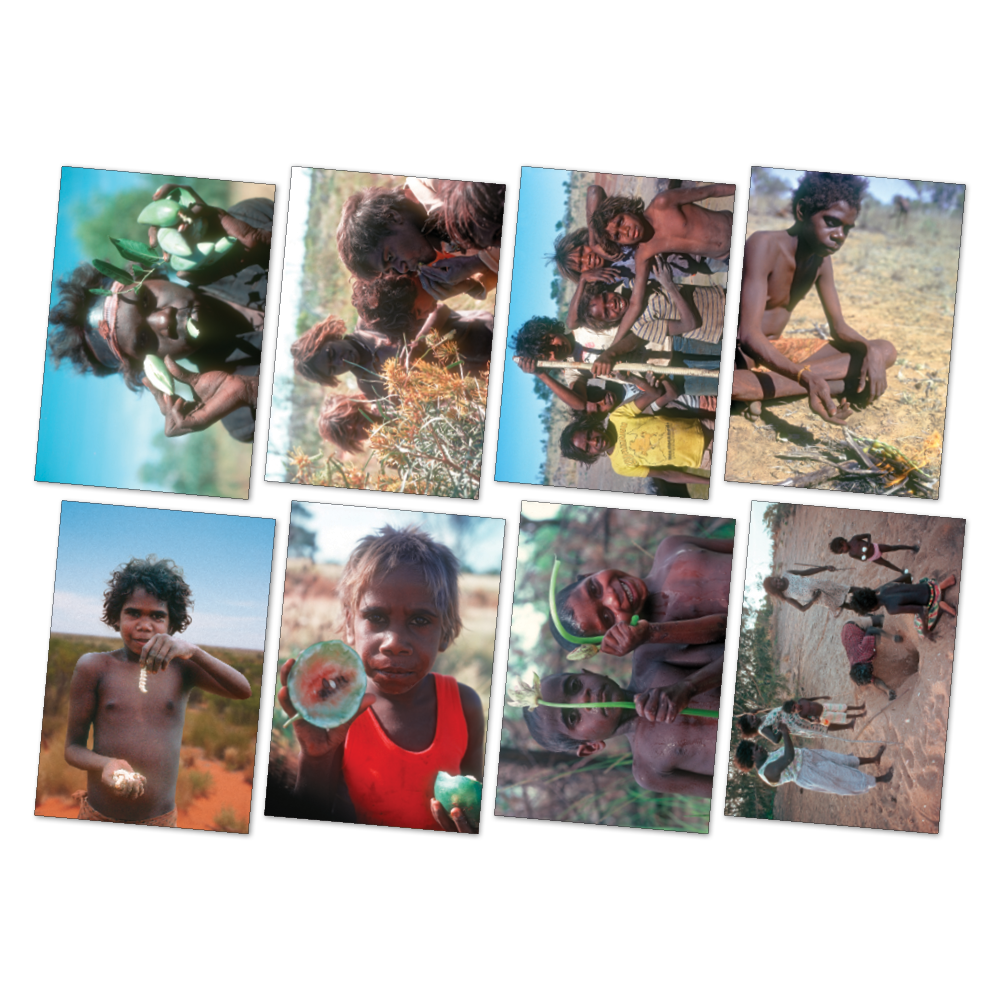 Bush Tucker Poster Pack — main view